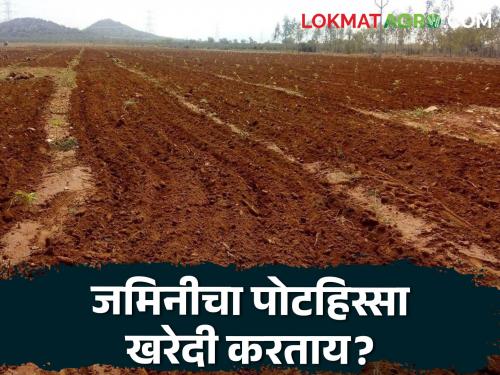 Buying a sub-plot of any land? Now this is the new rule of the state government; Read in detail | कोणत्याही जमिनीचा पोटहिस्सा खरेदी करताय? आता राज्य शासनाचा हा नवा नियम; वाचा सविस्तर
