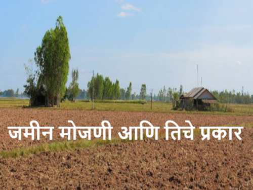 Latest News agriculture news Jamin Mojani How is land calculated Read in detail  | Jamin Mojani : जमीन मोजणी कशी करतात, साधी मोजणी किती दिवसांत होते? वाचा सविस्तर 