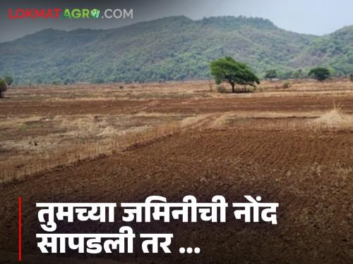 Latest News Jamin Kharedi and record is found, land can be registered on satbara with name | Jamin Kharedi : तुमच्याकडे जमीन नाही पण नोंद सापडली तर जमीन नावावर होऊ शकते का? 