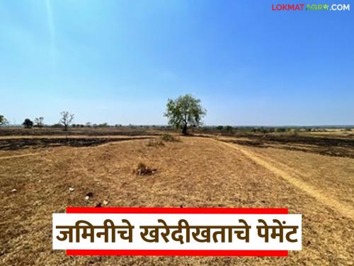 Latest news Jamin Kharedi Learn in detail how to pay for land purchase deed, by cash or check | जमिनीच्या खरेदीखताचे पेमेंट नेमके कसे करावे, रोख की चेकद्वारे, जाणून घ्या सविस्तर 