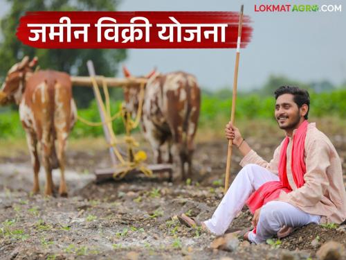 Latest news dadasaheb Gaikwad Scheme farmers are getting land on 100 percent subsidy | 'या' शेतकऱ्यांना 100 टक्के अनुदानावर मिळतेय जमीन, ही योजना आहे तरी काय? 