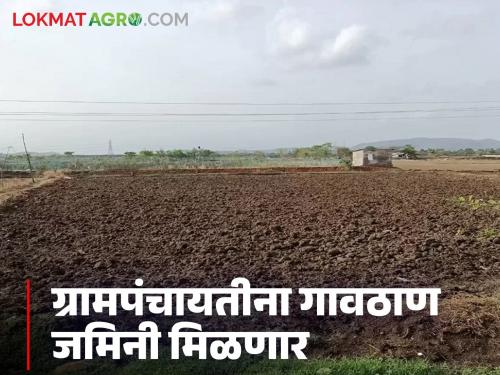 Latest news Nashik Grampanchayat these Gram Panchayats in maharashtra will get land for village station expansion, read in detail | राज्यातील 'या' ग्रामपंचायतींना मिळणार गावठाण विस्तारासाठी जमीनी, वाचा सविस्तर 