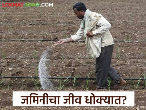 latest news Chemical Fertilizers: Do we need organic farming or chemical farming? Fertilizer use is increasing again! Read in detail | Chemical Fertilizers : सेंद्रिय शेती हवी का रासायनिक शेती? खत वापरात पुन्हा वाढ! वाचा सविस्तर