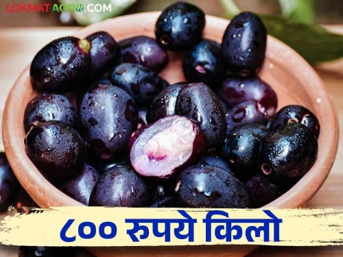 Jamun get double price than last year; How is the market price? | जांभळाला गतवर्षीपेक्षा दुप्पट भाव; कसा मिळतोय बाजारभाव