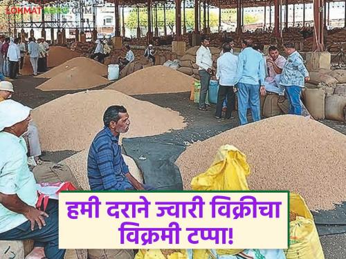 latest news Jowar Kharedi : Farmers directly benefit from guaranteed price; Record earnings from jowar sales Read in detail | Jowar Kharedi : शेतकऱ्यांना हमी दराचा थेट लाभ; ज्वारी विक्रीने विक्रमी कमाई वाचा सविस्तर