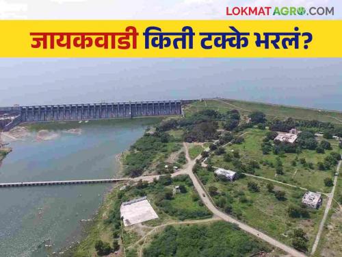 Latest News Jayakvadi Dam 93 percent full, discharge at any moment, know details  | Jayakwadi Dam : जायकवाडी धरण 95 टक्के भरलं, कोणत्याही क्षणी विसर्ग, जाणून घ्या सविस्तर 