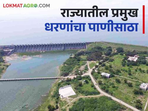 Latest News Maharashtra Dam Storage How much water storage in Jayakwadi, Gangapur, Bhandardara dams Read in detail  | Maharashtra Dam Storage : जायकवाडी, गंगापूर, भंडारदरा धरणांत किती पाणीसाठा? वाचा सविस्तर 