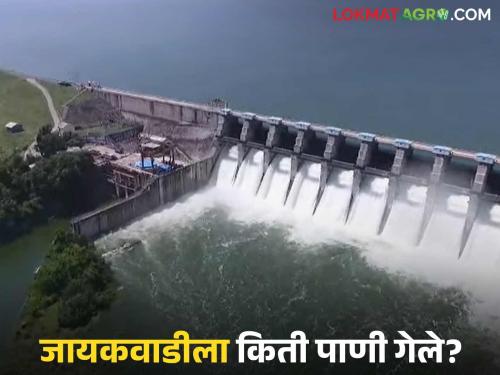 Latest News Jayakwadi Dam 40 TMC of water has been released from Nashik so far, see Jayakwadi dam storage | Nashik Dam Storage : नाशिकहून आतापर्यंत 40 टीएमसी पाणी सोडले, जायकवाडी किती भरले? 