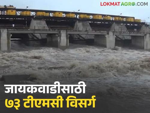 Latest news Gangapur dam Nashik's dams fulfill and more water gone to jayakwadi dam | नाशिकच्या धरणांनी महिनाभर आधीच गाठली शंभरी, जायकवाडीला किती पाणी गेले? 