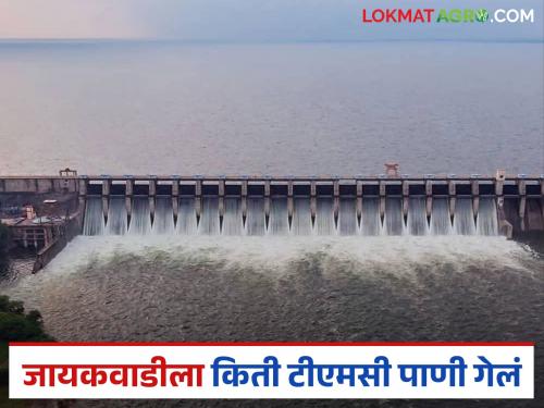 Latest News jayakvadi dam storage 32 TMC of water has reached Jayakwadi from Nashik dams | नाशिकहुन जायकवाडीकडे आतापर्यंत 32 टीएमसी पाणी पोहचले, जायकवाडीत किती टक्क्यांवर? 