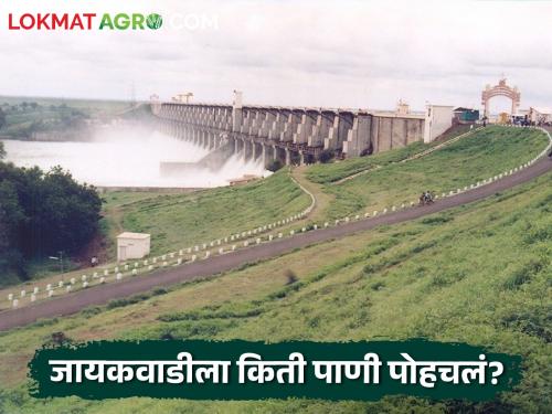 14 TMC water reached Jayakwadi from Gangapur Dam, read in detail | नाशिकचे गंगापूर धरण 58 टक्के भरले, जायकवाडीला किती टीएमसी पाणी पोहचले?