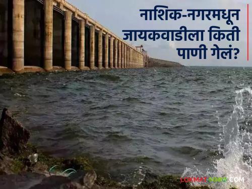 Latest News total of 28 TMC of water reached Jayakwadi Dam from Nashik and Ahmednagar Dams see details | Jayakwadi Dam : आतापर्यंत नाशिक-नगरमधून जायकवाडीला किती पाणी गेलं? जाणून घ्या सविस्तर 