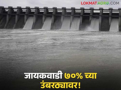 latest news Jayakwadi Dam Water Level: Water flow from Godavari increased; Jayakwadi on the verge of 70 percent Read in detail | Jayakwadi Dam Water Level : गोदावरीतून जलप्रवाह वाढला; जायकवाडी ७० टक्क्यांच्या उंबरठ्यावर वाचा सविस्तर