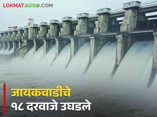 Jayakwadi Dam: 'So many' thousand cusecs discharge from Jayakwadi; Water entered the Siddheshwar temple | Jayakwadi Dam: जायकवाडीतून 'इतके' हजार क्युसेक विसर्ग; सिद्धेश्वर मंदिरात शिरले पाणी