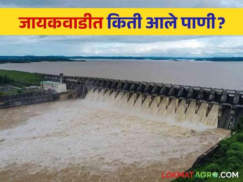 Jayakwadi Dam Storage: In Jayakwadi Dam Water level incress; Read more about Admin Alert Mode | Jayakwadi Dam Storage : जायकवाडी धरणात पाणीच पाणी; प्रशासन अलर्ट मोडवर वाचा सविस्तर