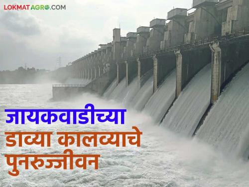 Latest news Jayakawadi Dam: Good news for farmers: The way for irrigation is open! Read in detail | Jayakawadi Dam: शेतकऱ्यांसाठी आनंदवार्ता: सिंचनाचा मार्ग मोकळा! वाचा सविस्तर