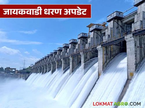 latest news Jayakwadi Dam Water Release: Water release in Jayakwadi Dam increased rapidly; Danger in Godavari Valley? Read in detail | Jayakwadi Dam Water Release : जायकवाडी धरणात पाण्याचा विसर्ग वेग वाढला; गोदावरी खोऱ्यात धोका? वाचा सविस्तर