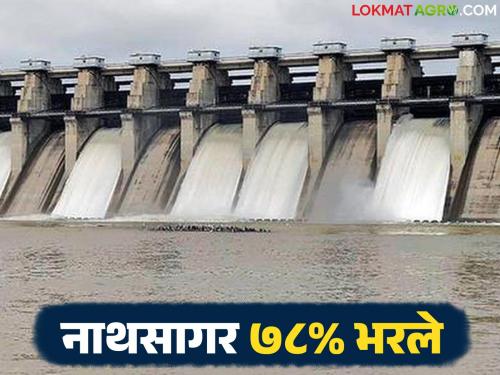 latest news Jayakwadi Dam Update: hope for the Kharif season; Adequate water storage in Jayakwadi Dam Read in detail | Jayakwadi Dam Update : खरीप हंगामासाठी आशेचा किरण; जायकवाडी धरणात पाण्याचा पुरेसा साठा वाचा सविस्तर