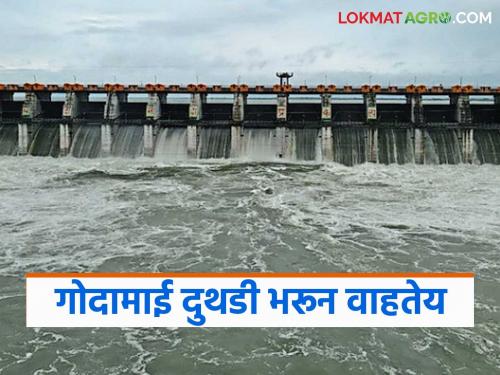 latest news Jayakwadi Dam Update: Godavari river is overflowing; Know the water storage of Jayakwadi in detail | Jayakwadi Dam Update : गोदामाई दुथडी भरून वाहतेय; जाणून घ्या जायकवाडीचा जलसाठा सविस्तर