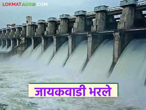 latest news Jayakawadi Dam Water: Jayakwadi filled; Relief for 1.8 lakh hectares of agriculture Read in detail | Jayakawadi Dam Water : जायकवाडी भरले; १.८ लाख हेक्टर शेतीला दिलासा वाचा सविस्तर