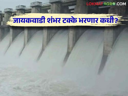 Jayakwadi Dam Water Storage : Will drinking water in Jayakwadi be solved with irrigation problem; How much incoming water? Read in detail | Jayakwadi Dam Water Storage : जायकवाडीतील पिण्याच्या पाणी सिंचन प्रश्नासह सुटणार का; किती आवक पाणी? वाचा सविस्तर