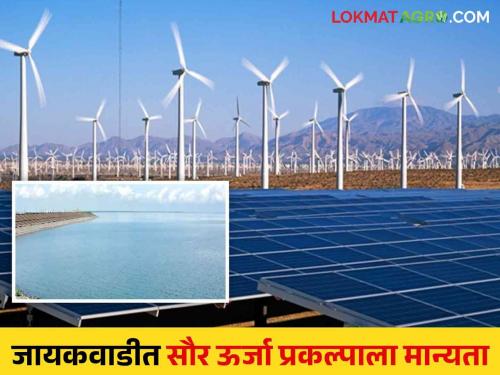 Jayakawadi Solar Project: Read more about the solar power project to be set up at Jayakawadi Dam | Jayakawadi Solar Project : जायकवाडी धरणावर उभारणार सौर ऊर्जा प्रकल्प वाचा सविस्तर