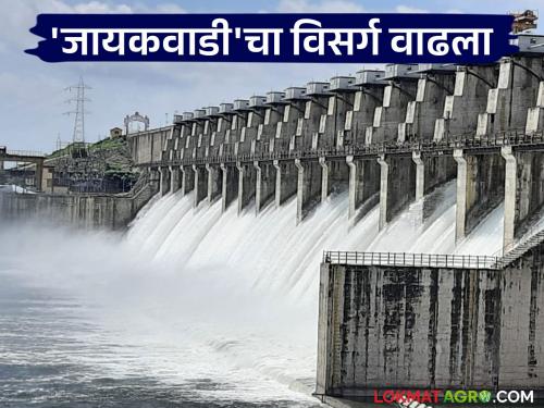 latest news Jayakwadi Dam Water Discharge: Jayakwadi Dam gates reopened; 'so many' thousand cusecs discharged into Godapatra Read in detail | Jayakwadi Dam Water Discharge : जायकवाडी धरणाचे दरवाजे पुन्हा उघडले; गोदापात्रात 'इतक्या' हजार क्युसेकने विसर्ग वाचा सविस्तर