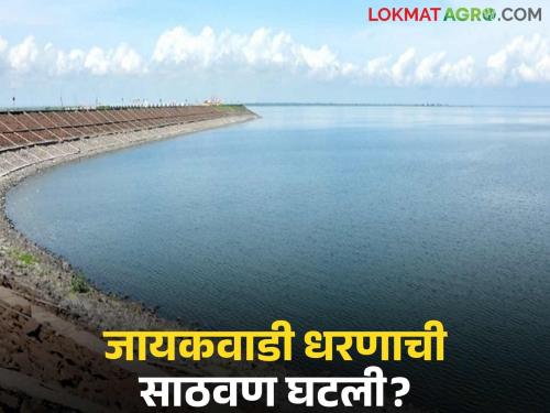 latest news Jayakawadi Dam: Major reduction in Jayakwadi storage capacity; What is the reason? Read in detail | Jayakawadi Dam : जायकवाडी साठवण क्षमतेत मोठी घट; काय आहे कारण वाचा सविस्तर