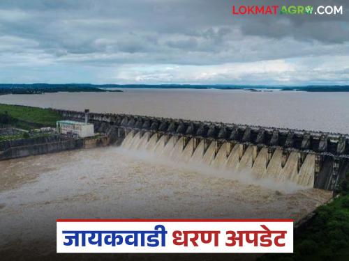 latest news Jayakwadi Dam Water Discharge: Jayakwadi Dam Update; Read in detail about the decrease in discharge from the dam | Jayakwadi Dam Water Discharge: जायकवाडी धरण अपडेट; धरणातून विसर्गात घट वाचा सविस्तर