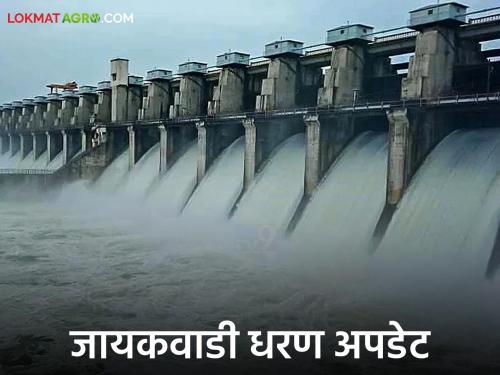 latest news Jayakwadi Dam Water: Jayakwadi Update: Water release from the dam has decreased, 10 gates closed | Jayakwadi Dam Water : जायकवाडी अपडेट: धरणातून पाण्याचा विसर्ग घटला, १० दरवाजे बंद
