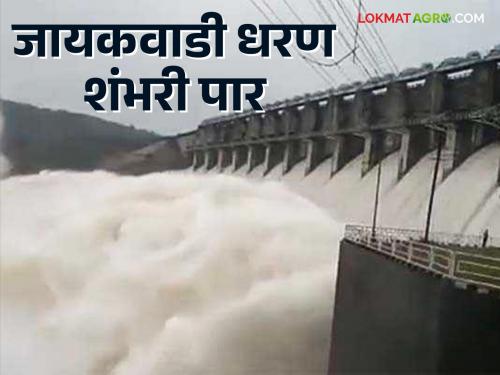 Jaykawadi Dam Water level : 10 gates of Jaykawadi opened; Discharge begins in Godapatra | Jayakwadi Dam Water level : जायकवाडीचे १० दरवाजे उघडले; गोदापात्रात विसर्ग सुरू