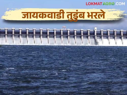 Jayakwadi Dam : Water problem of rabi crops is solved | Jayakwadi Dam : मराठवाड्यातील धरणे भरली; रब्बी पिकांचा पाणी प्रश्न मिटला