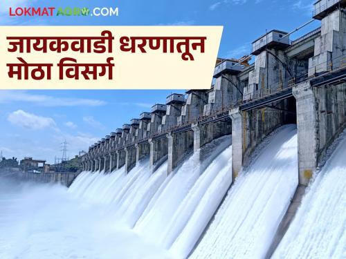 latest news Jayakwadi Dam water release: Increase in discharge from Jayakwadi Dam; Shahgad's Kolhapuri dam under water | Jayakwadi Dam water Release : जायकवाडी धरणातून विसर्गात वाढ; शहागडचा कोल्हापुरी बंधारा पाण्याखाली