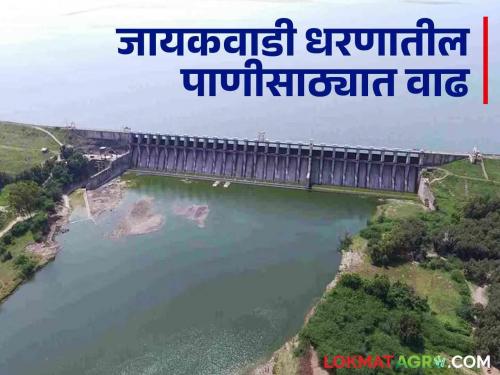 Jayakwadi Dam: Good news: 40 thousand cusecs of water inflow in Jayakwadi  | Jayakwadi Dam : खुशखबरः जायकवाडीत ४० हजार क्युसेकने पाण्याची आवक 