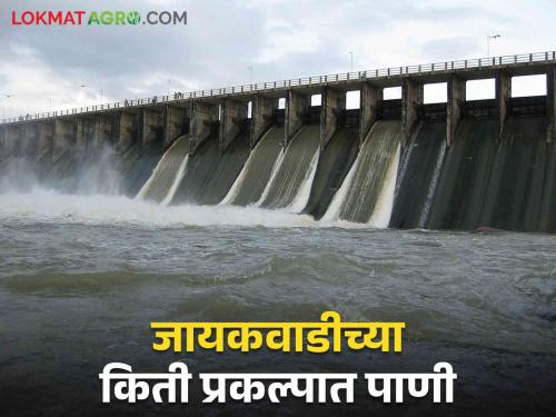 Jayakwadi Dam Discharge: How much water was released in Jayakwadi Dam; How many projects are filled?   Read in detail  | Jayakwadi Dam Discharge : जायकवाडी धरणात किती आले पाणी; किती प्रकल्प भरले? वाचा सविस्तर 