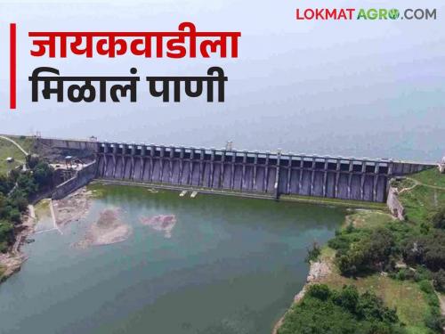 Jayakwadi Dam : For Jayakwadi, 22 TMC of water is released from Godavari and 4 TMC from Pravara | Jayakwadi Dam : जायकवाडीसाठी गोदावरीतून बावीस, तर प्रवरेतून सोडले ४ टीएमसी पाणी