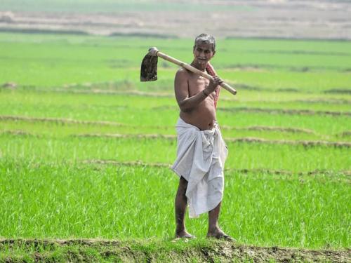 Implement Ryadhu Bharosa Yojana which provides 15,000 per acre for farmers in these 5 states as well | शेतकऱ्यांसाठी एकरी १५००० देणारी रयधू भरोसा योजना या ५ राज्यांमध्येही लागू करा 