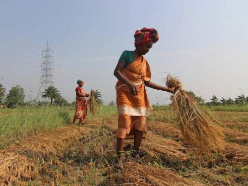 Unseasonal rain is likely to recede, weather experts for farmers... | अवकाळी पाऊस ओसरण्याची शक्यता, शेतकऱ्यांना काढणीसाठी तज्ञांनी काय सांगितलं?