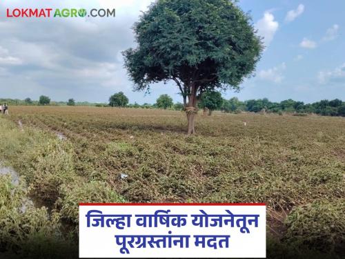 Latest news District administration ordered to take immediate measures in flood-hit areas | राज्य शासनाकडून जिल्हा प्रशासनाला तातडीचे आदेश, पूरग्रस्त भागातील... पहा शासन निर्णय 