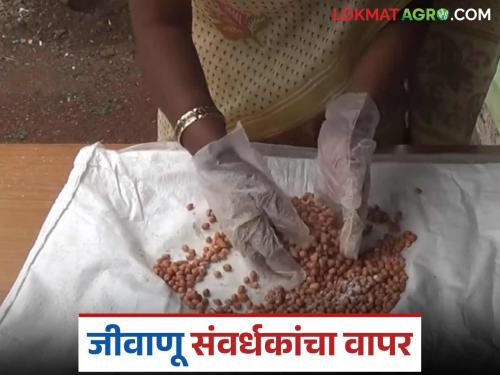 Use these eight enhancers cultures to reduce the cost of medicines and fertilizers; Read in detail | औषधं व खतांवरील खर्च कमी करण्यासाठी वापरा ही आठ संवर्धके; वाचा सविस्तर