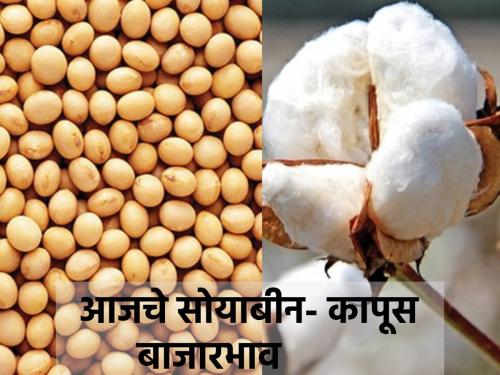 What was the price per quintal of soybeans and cotton on the occasion of Diwali? | दिवाळीच्या मुहूर्तावर सोयाबीन, कापसाला प्रतिक्विंटल काय भाव मिळाला?