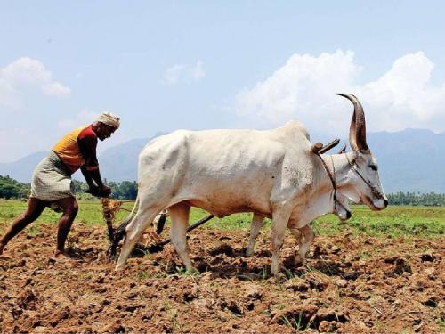 Waiver of stamp duty on loans of farmers up to 1 lakh 60 thousand | शेतकऱ्यांचे १ लाख ६० हजार पर्यंतच्या कर्जावरील मुद्रांक शुल्क माफ