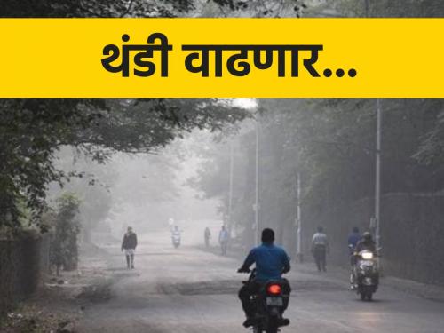 Now it will be really cold; Pune at 10 degrees! | आता पडणार खरी थंडी; पुणे १० अंशांवर! पुढील ७२ तासांत..