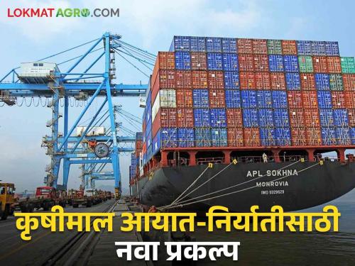 Export of agricultural commodities will be easy, 300 crores agricultural processing and storage center is coming up soon | कृषीमाल निर्यात करणं होणार सोप्पं, लवकरच तयार होतेय ३०० कोटींचे कृषीप्रक्रिया अन् साठवण केंद्र