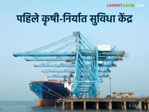 Latest News JNPT First Agri-Export Facilitation Center at JNPT port, useful for import-export  | JNPT Port : जेएनपीटी बंदरावर पहिले कृषी-निर्यात सुविधा केंद्र, आयात-निर्यातीसाठी उपयुक्त 