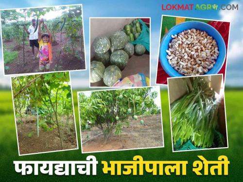 Farmer Success Story : Along with own farm this couple is getting perennial income by taking farming on rental basis | Farmer Success Story : स्वतःच्या शेतीबरोबर भाडे तत्वावर शेती घेऊन हे दांपत्य घेत आहे बारमाही उत्पन्न