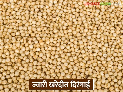 latest news Jwari Kharedi: Registered but no purchase; Nafed's negligence towards sorghum purchase | Jwari Kharedi : नोंदणी केली पण खरेदी नाही; ज्वारी खरेदीकडे नाफेडचे दुर्लक्ष वाचा सविस्तर