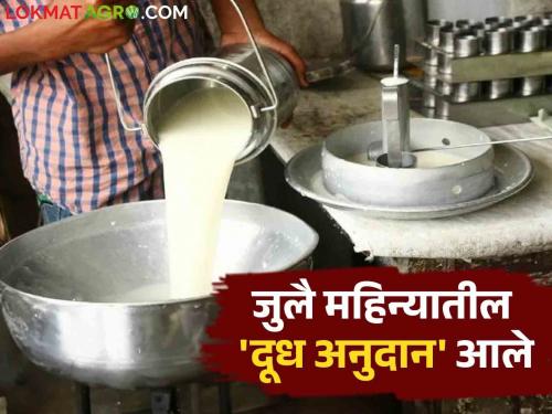 July 2024 Milk Subsidy: Cow milk subsidy for the first ten days of July has been collected, read in detail | July 2024 Milk Subsidy : जुलैच्या पहिल्या दहा दिवसांचे गाय दुधाचे अनुदान झाले जमा वाचा सविस्तर