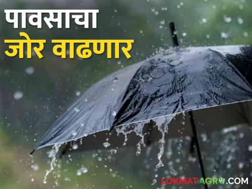 Maharashtra Weather Update: 105 percent chance of rain in this districts in the month of July | Maharashtra Weather Update जूनमध्ये दिली ओढ; जुलै महिन्यात राज्यात या जिल्ह्यांत १०६ टक्के पावसाची शक्यता