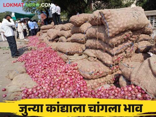 Kanda Bajar Bhav : Onion prices increased in Kedgaon market How is the price of new onions getting? | Kanda Bajar Bhav : केडगाव बाजार समितीत कांद्याचे भाव वाढले नव्या कांद्याला कसा मिळतोय दर